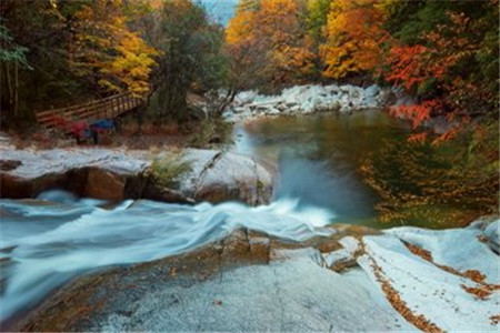 2020年浙江自考与成人教育和远程入学门槛有何不同?