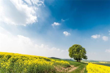 2020年上半年8月浙江绍兴自考考试时间