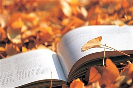 2020年浙江自考缺考会影响毕业吗？