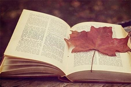 2020年上半年8月浙江杭州准考证打印入口