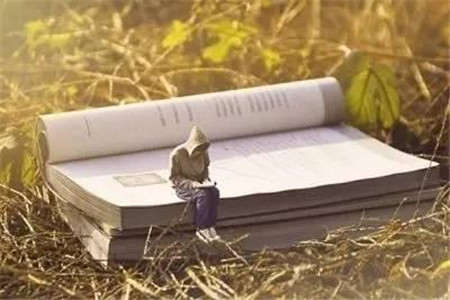 2020年浙江杭州自考本科可以考研吗？