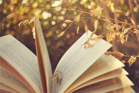 2020年上半年8月浙江自考英语答题技巧！