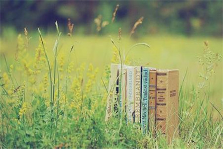 2020年浙江省台州(县、市、区)自考办地址及联系电话